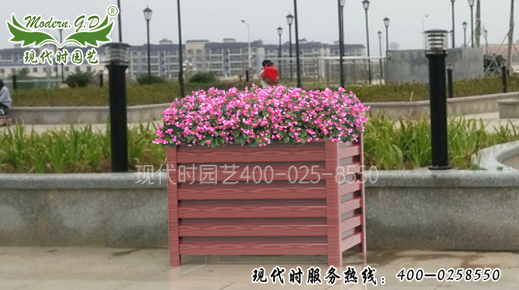 LXϽ̖(ho)H-2