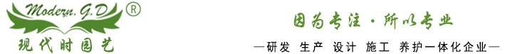 ꖬFr@ˇ^޹˾